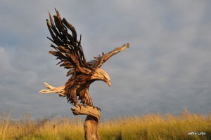 The-Incredible-Scrap-Metal-Animal-Sculptures-of-John-Lopez-1